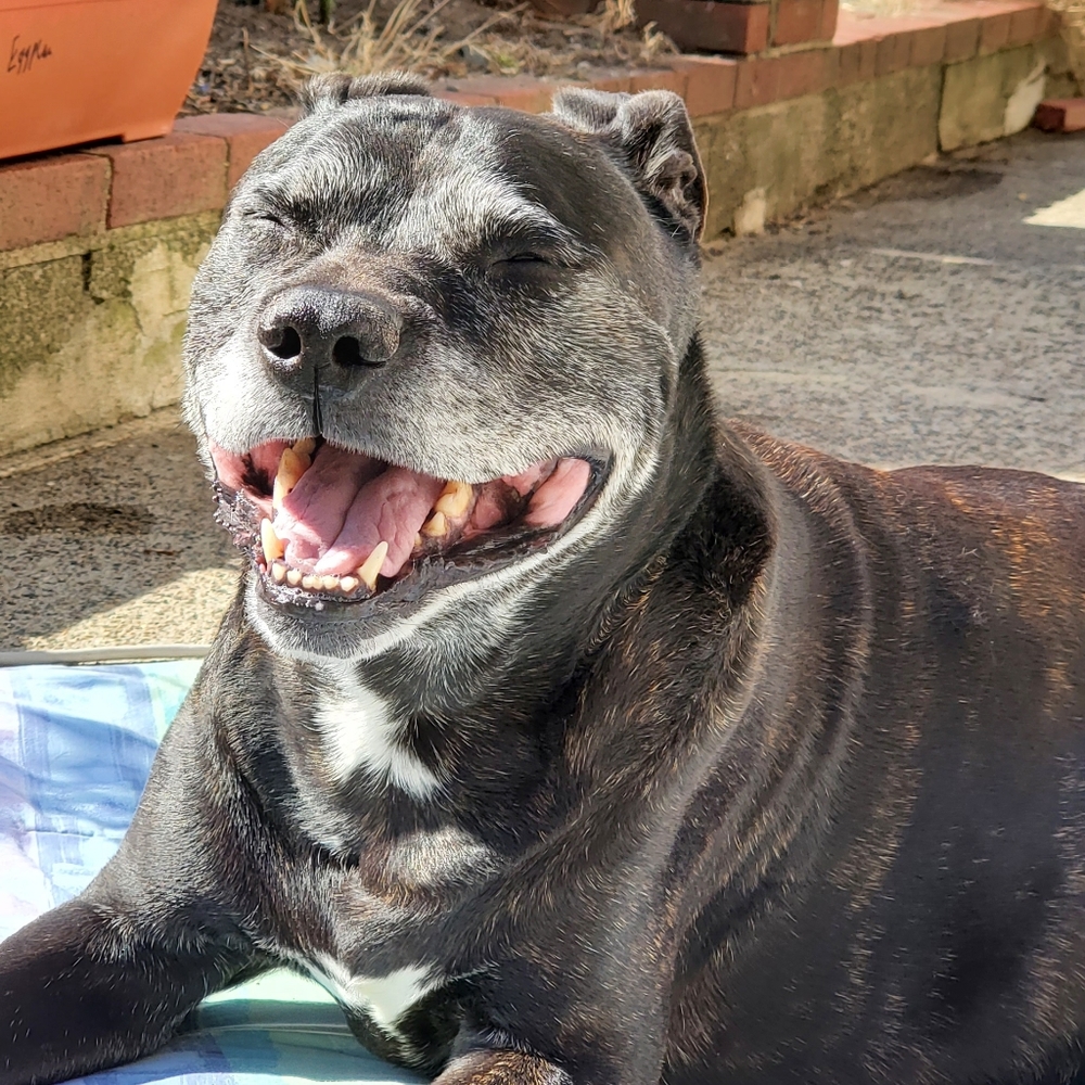 Meet your Posher, Yangchen